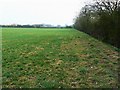 Field near Cooles Farm, Upper Minety