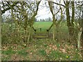 Stile and bridge over a ditch, near Upper Minety