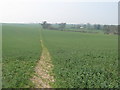 Footpath to Wingleton Farm