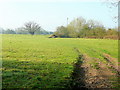 Severn floodplain 1