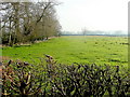 Severn Floodplain 2