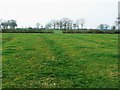 Ridge and furrow cultivation relics, near Minety Crossing, Upper Minety