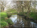TQ3670 : The Pool River north of Lennard Road, BR3 (2) by Mike Quinn