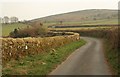 Lane near Beckaford