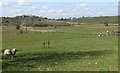 Reclaimed wetland between the Lackan and Drumlee Roads