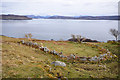 Remains of an enclosure above Loch Slapin