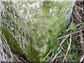 Rivet bench mark, Whittonditch