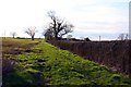 Footpath west of Malmesbury along the hedgerow