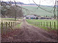 Footpath near Whittonditch