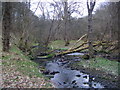 Causey Burn,Causey Gill