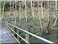 Footbridge over the river Clywedog