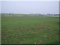 Farmland near Hagg House