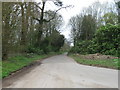 Country Lane looking north, Lee