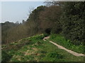 Footpath junction near Hawkshill Down