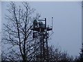 Radio Mast behind Lamorna Park, Torpoint