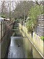 The Chaffinch Brook south of Cedars Road, BR3