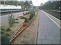 Putney station and the University Boat Race