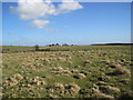 Footpath towards North Fens