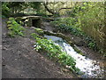 Waterfall, Loose Valley Conservation Area