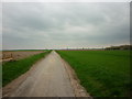 Ox Pasture Lane, south of Luddington