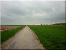 SE8315 : Ox Pasture Lane, south of Luddington by Ian S