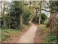 Path at West of Horsham Park