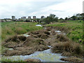 Remains of the Romford Canal