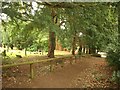 Path at Aspley Guise