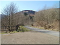 Lane alongside Nant Selsig, Blaencwm