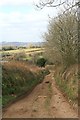 Towards Lower Birch Farm