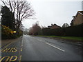 Lindfield Road, Ardingly