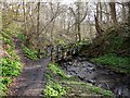 Footbridge, Walbottle Dene