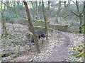 Foxstones Bridge, Hurstwood