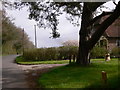 Looking north on Fittleworth Road at cottage with dog