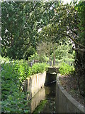 TQ3669 : The Chaffinch Brook - Elmers End Branch, east of Beck Lane, BR3 (4) by Mike Quinn