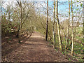 Footpath beside Deich Burn