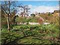 Garden across Deich Burn