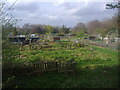 TQ3062 : Allotments on Foresters Drive, Wallington by David Howard
