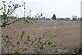 Farmland at Countess