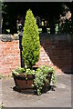 SP1798 : Tree and plant display, outside St John the Baptist, Church by Chris' Buet