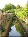 The Chaffinch Brook north of Hampden Road, BR3