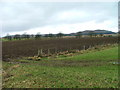 Agricultural land at Francesfield