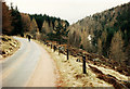 Road Beside Linn of Muick