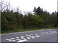 TM3761 : Overgrown footpath to the A12 Benhall Bypass by Geographer