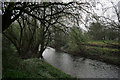 A minor channel of the River Teme