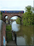 SO8555 : Worcester & Birmingham Canal - bridge No. 10 by Chris Allen