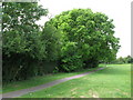 Ashburton Playing Fields, north of Shirley Oaks Hospital