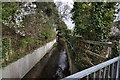 The view upstream from a bridge on Tews Lane, Bickington