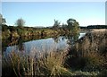 River Bladnoch near Brockloch Farm