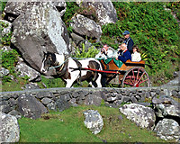 V8787 : Jaunting Cart in the Gap of Dunloe by Roger Diel